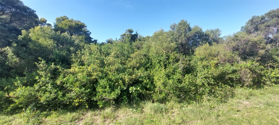 0 Bedroom Property for Sale in Paradise Beach Eastern Cape